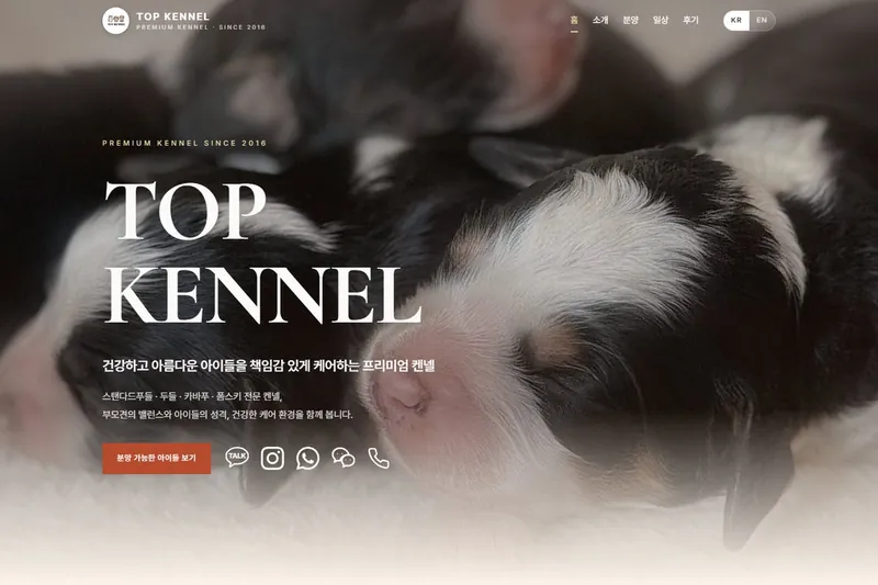 TOP KENNEL 홈페이지 첫 화면