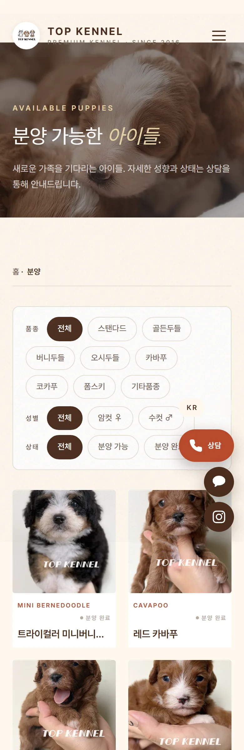 TOP KENNEL 분양 목록 화면