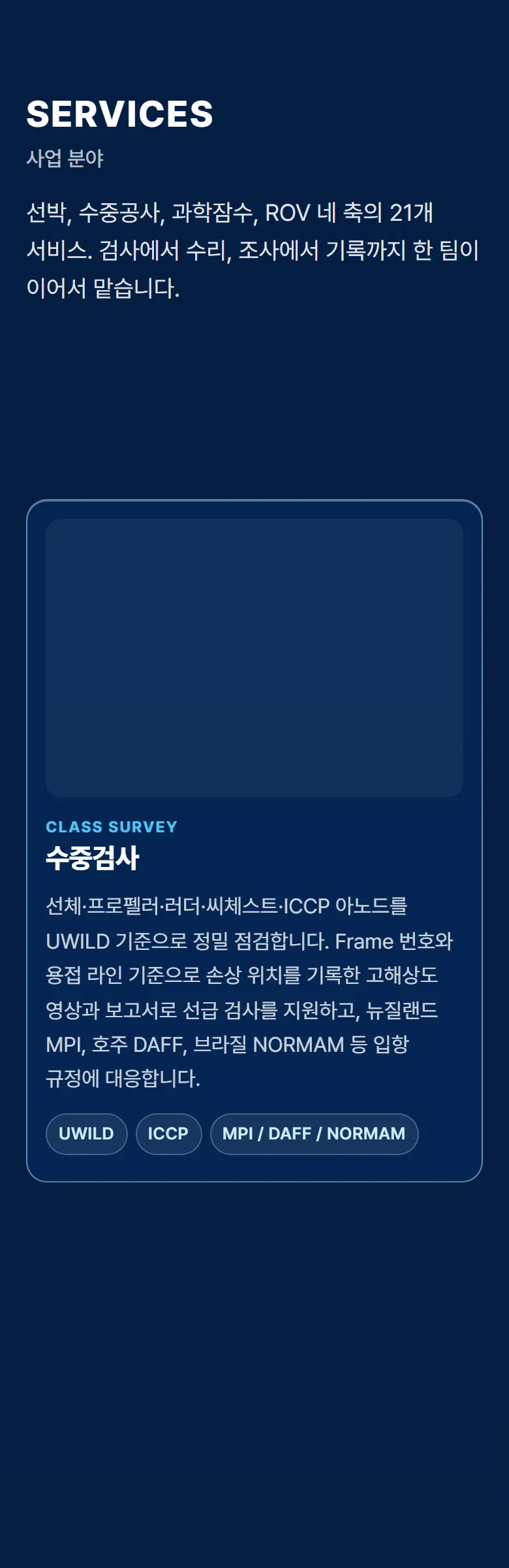 오셔니어스 사업 분야 화면