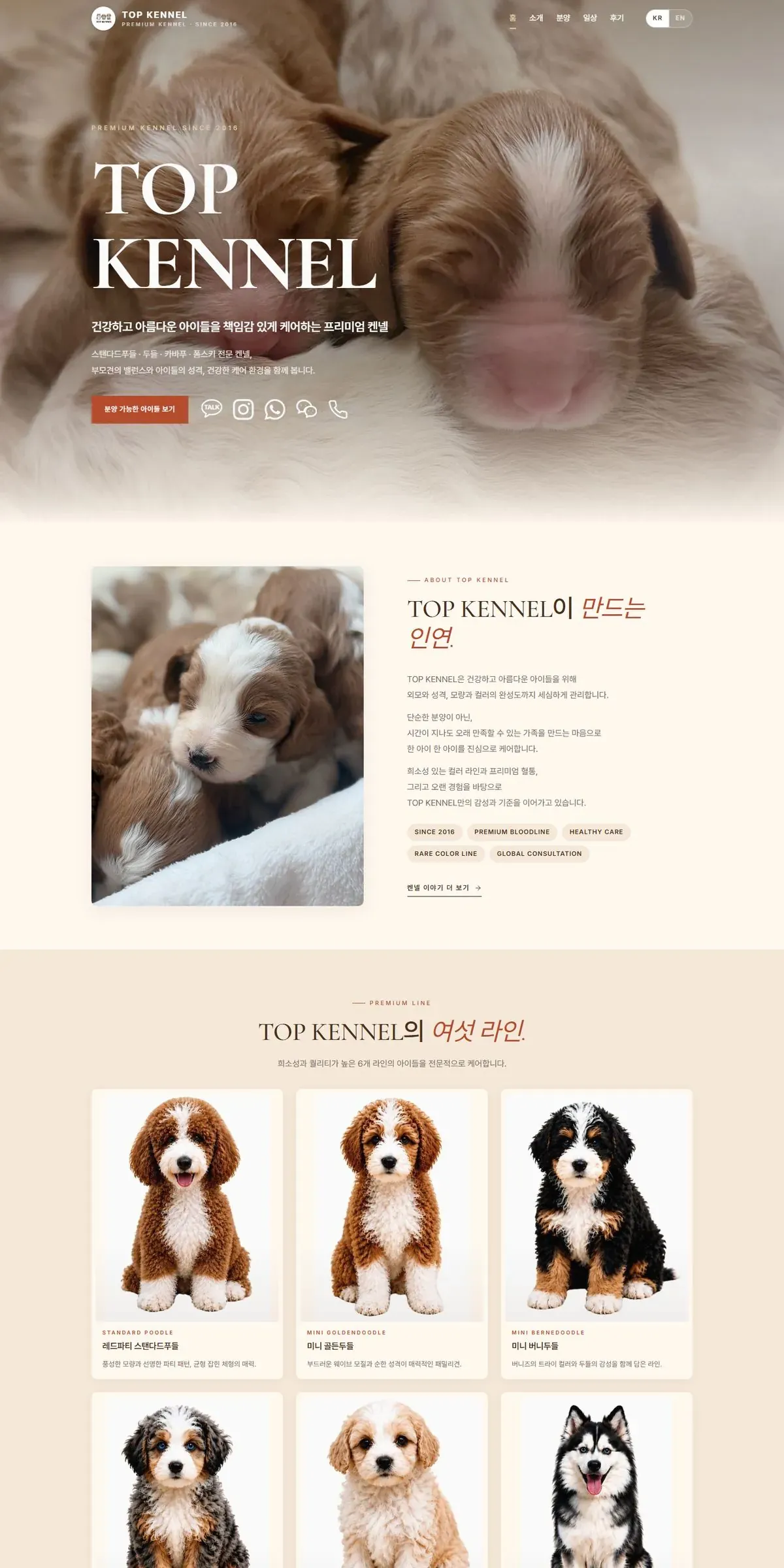 TOP KENNEL 홈페이지 PC 메인 화면